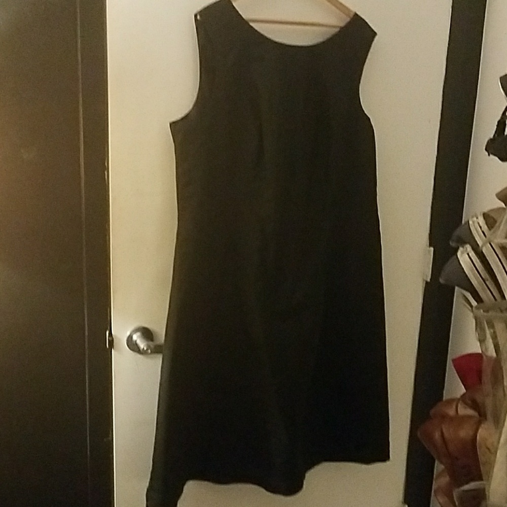Lane Bryant Raw Silk a line sheath